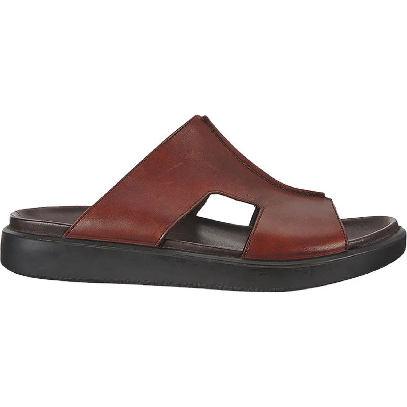 Designer Winter Boots Men's Ecco Flowt LX Slide Cognac Leather